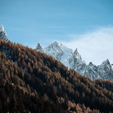 Mont Plaisir - Au Pied Des Drus Σαμονί